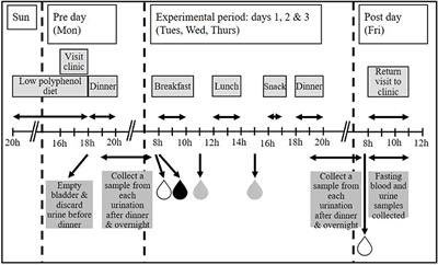 Design and Characterisation of a Randomized Food Intervention That Mimics Exposure to a Typical UK Diet to Provide Urine Samples for Identification and Validation of Metabolite Biomarkers of Food Intake